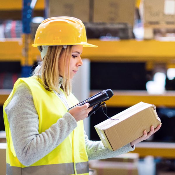 未命名的设计 (43) 未命名的设计 (43)